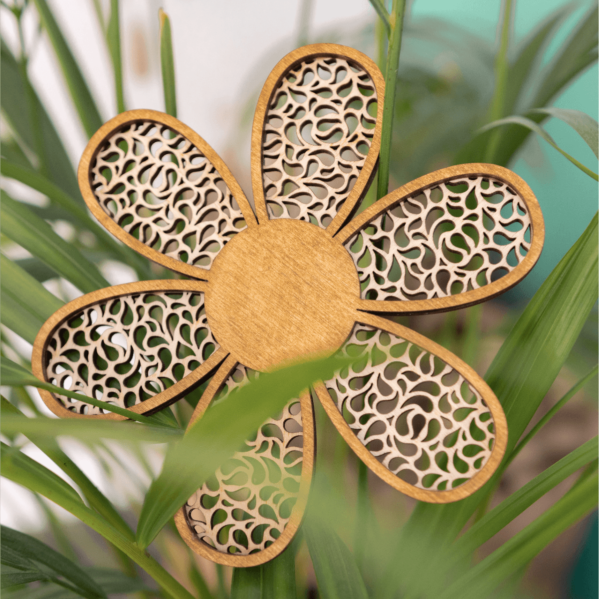 Fleur • Pluie – Image 3